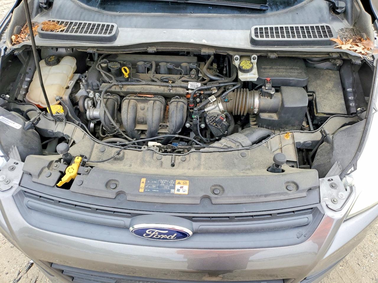 Ford Escape S