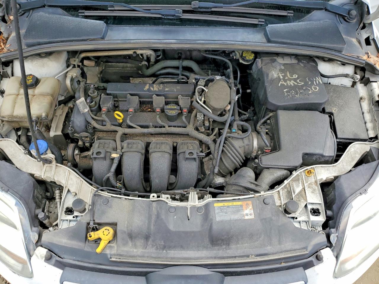 Ford Focus Se