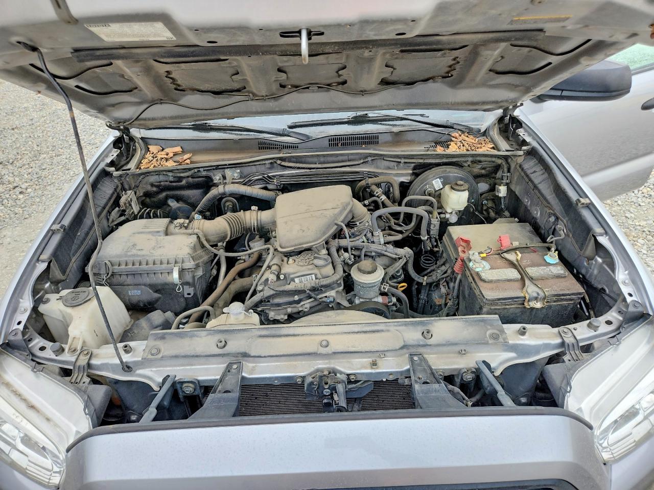 Toyota Tacoma Sr