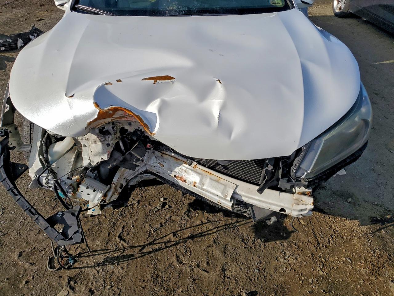 Honda Accord Exl