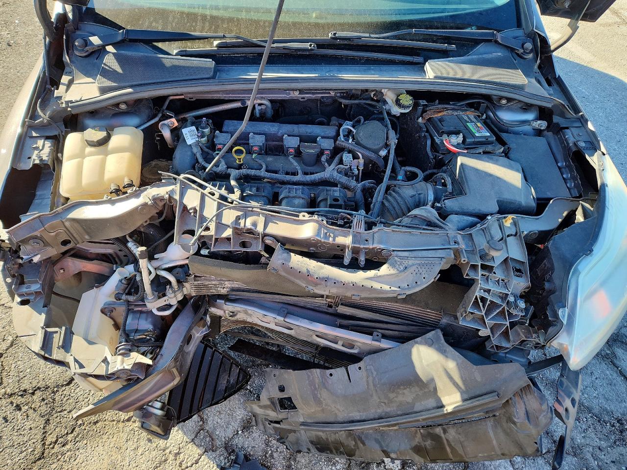 Ford Focus Se