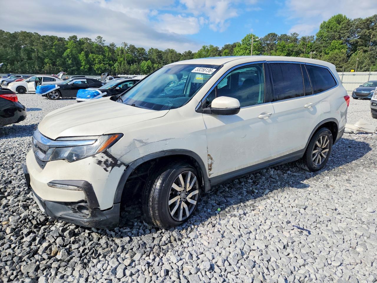Salvage Honda Pilot Image