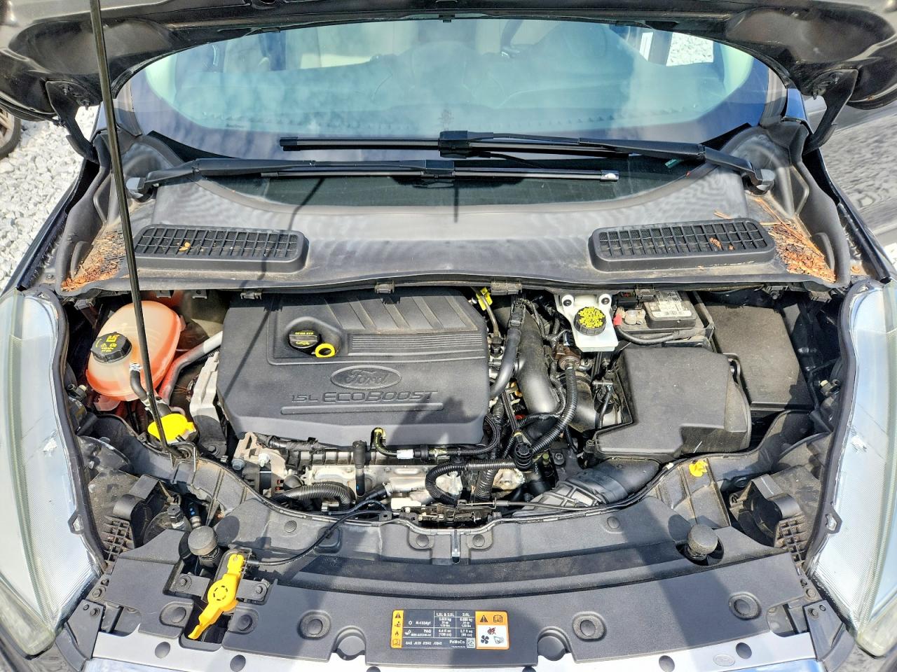 Ford Escape Se