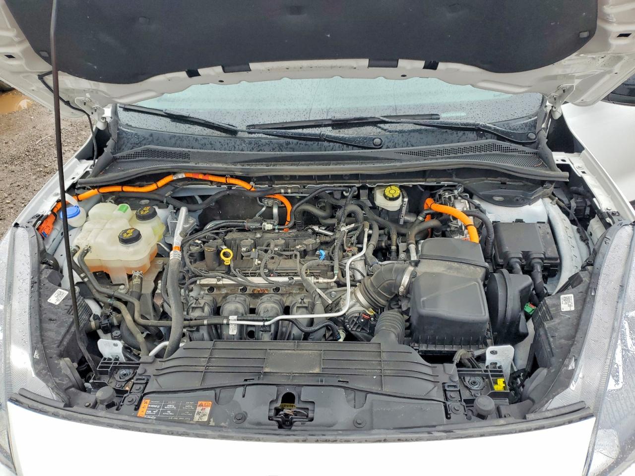 Ford Escape Se Sport