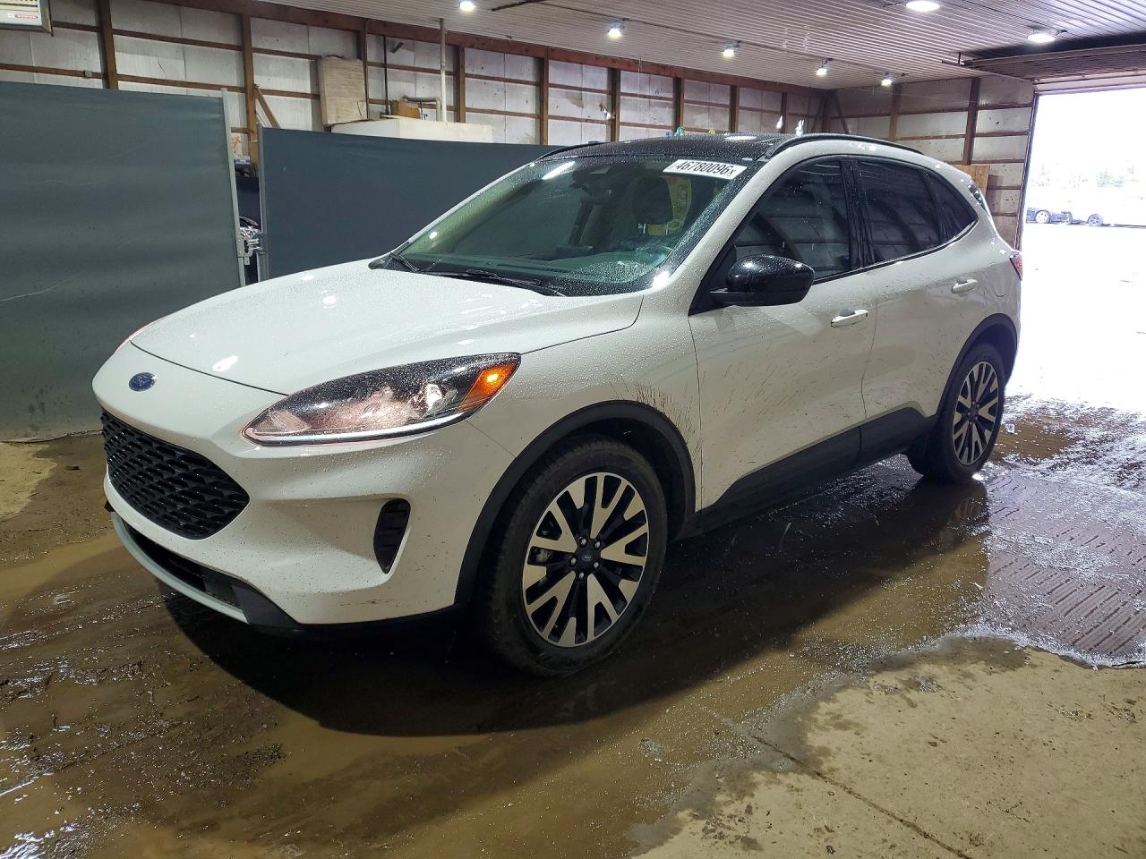 Salvage Ford Escape Image
