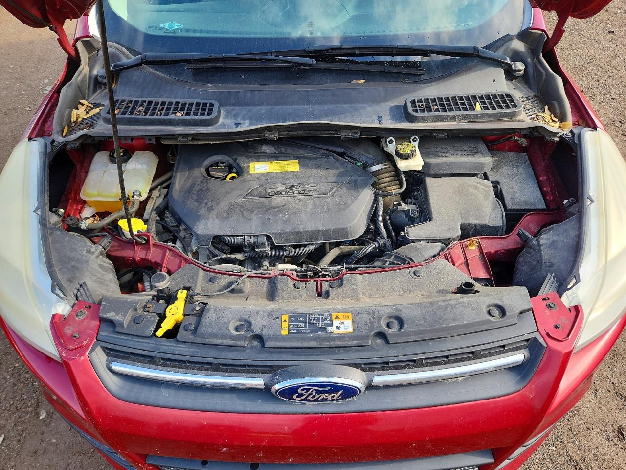 Ford Escape Se