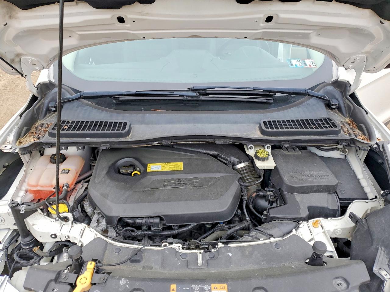 Ford Escape Sel