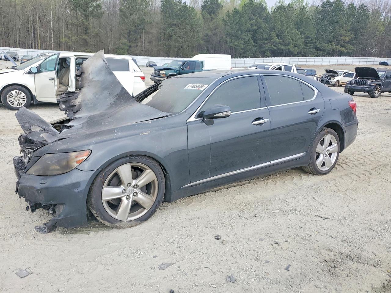 Salvage Lexus LS Image