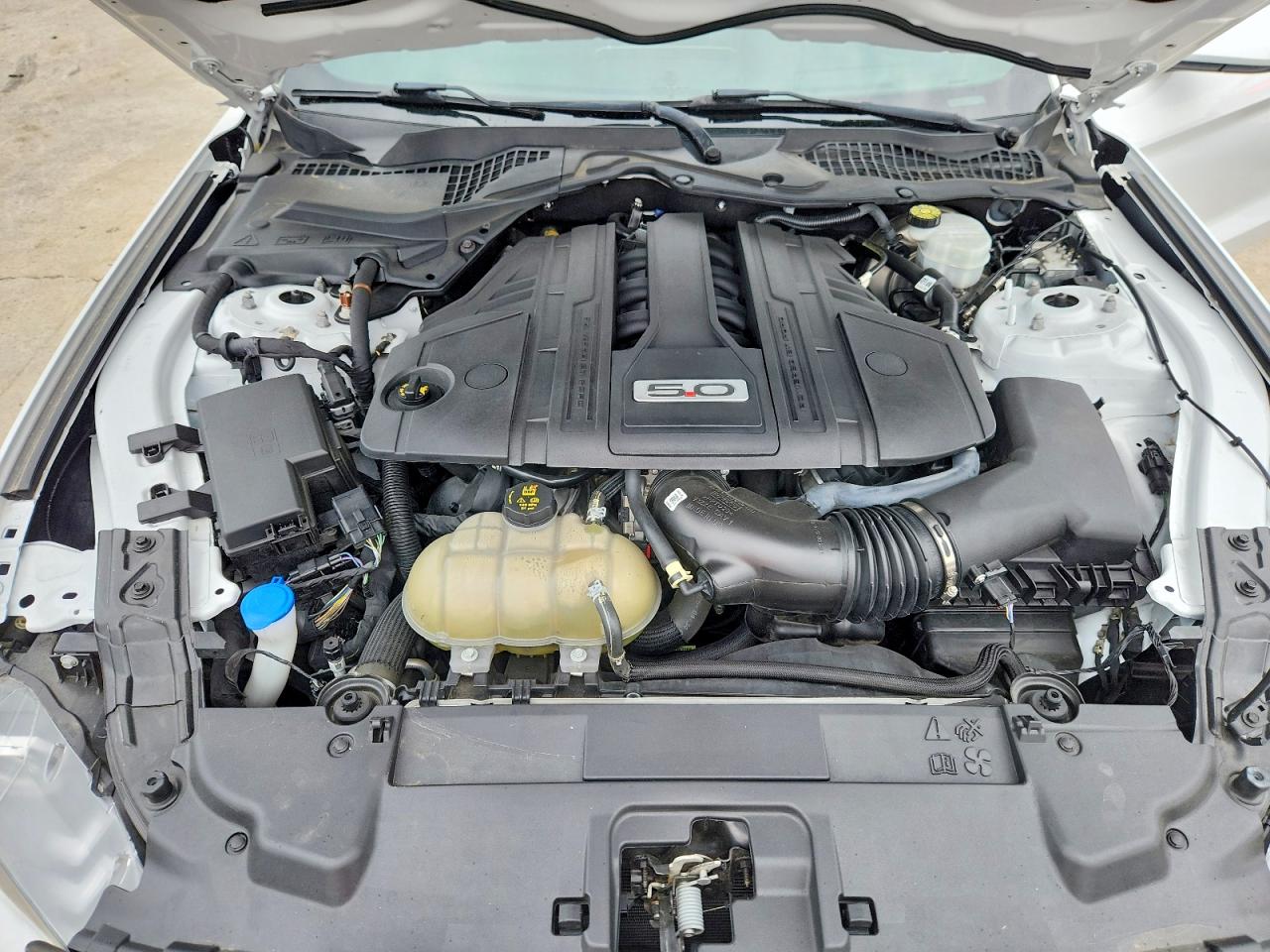 Ford Mustang Gt