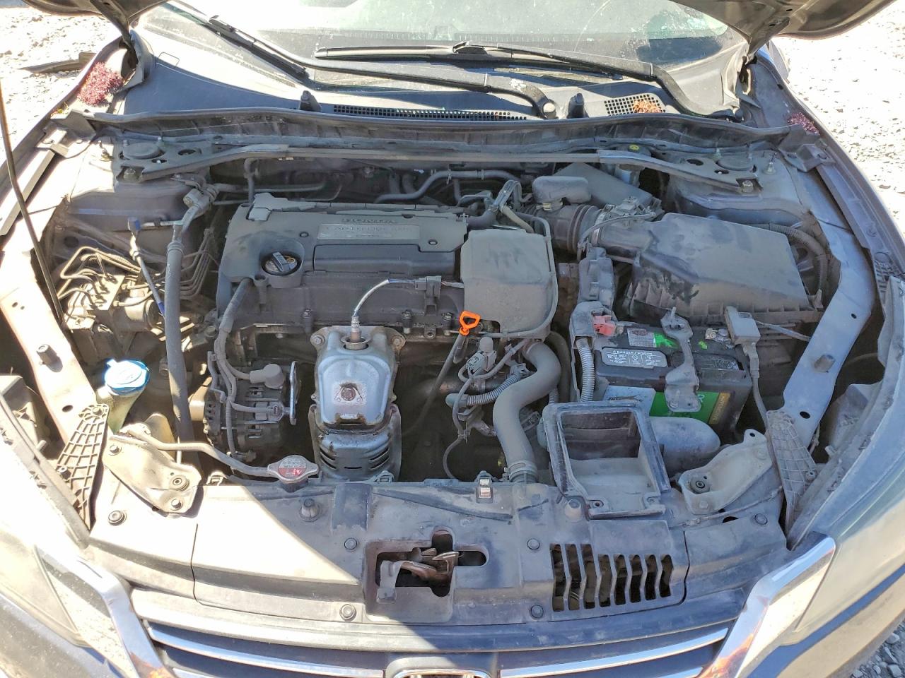 Honda Accord Exl