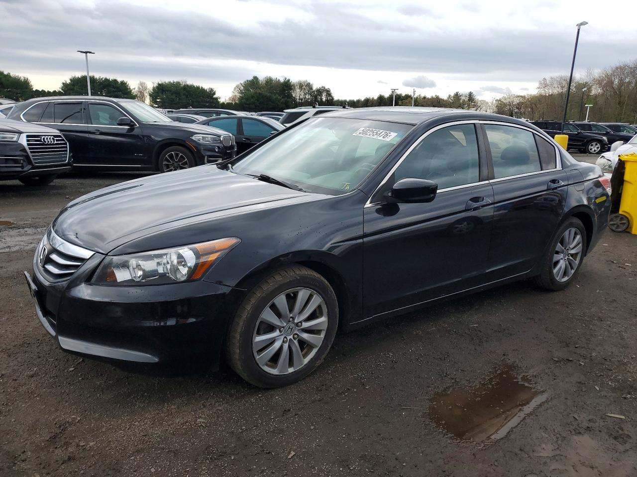 Salvage Honda Accord Image