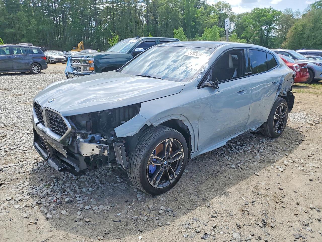 Salvage BMW X Series Image