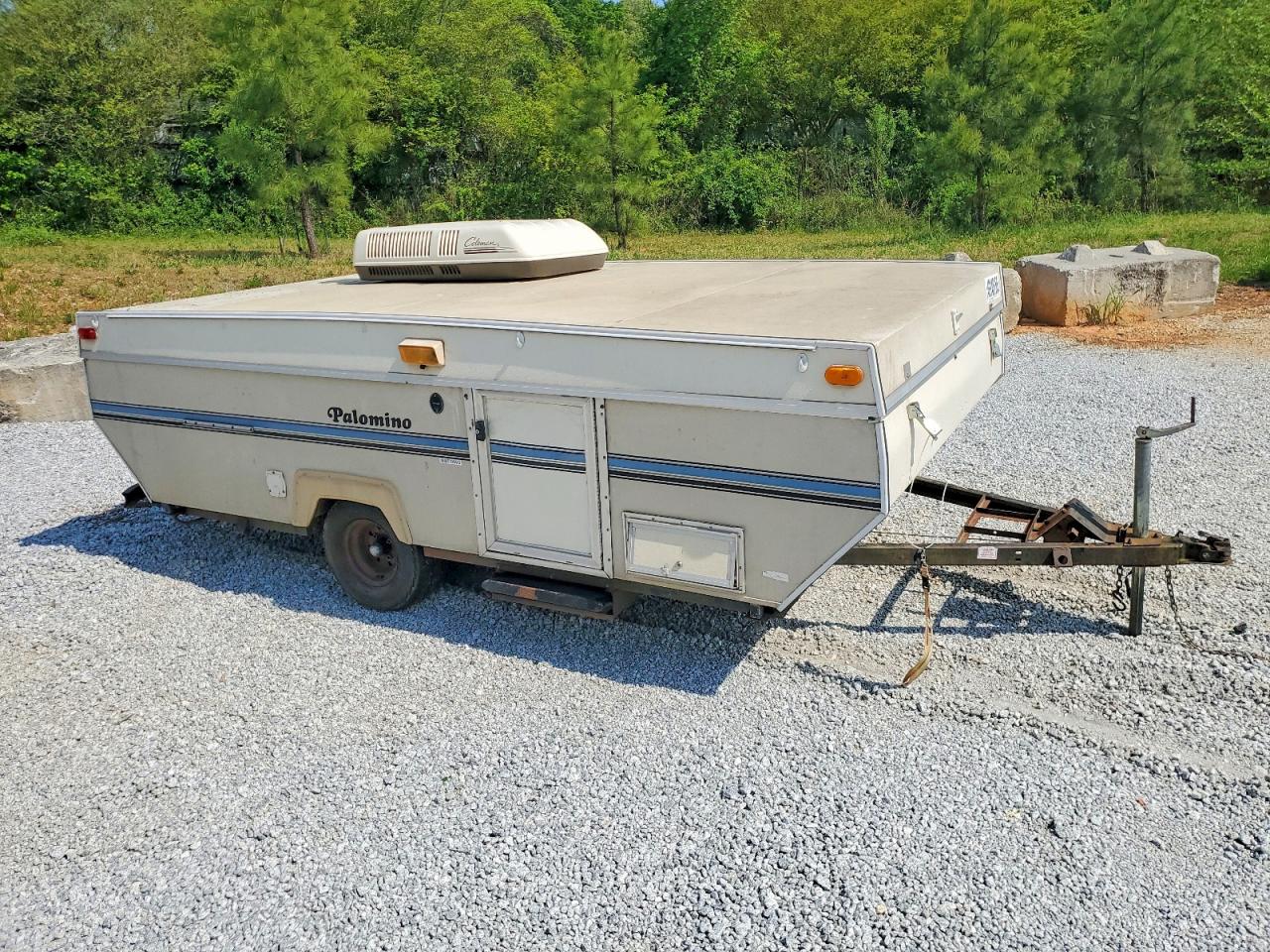 Salvage Palamino Other Image
