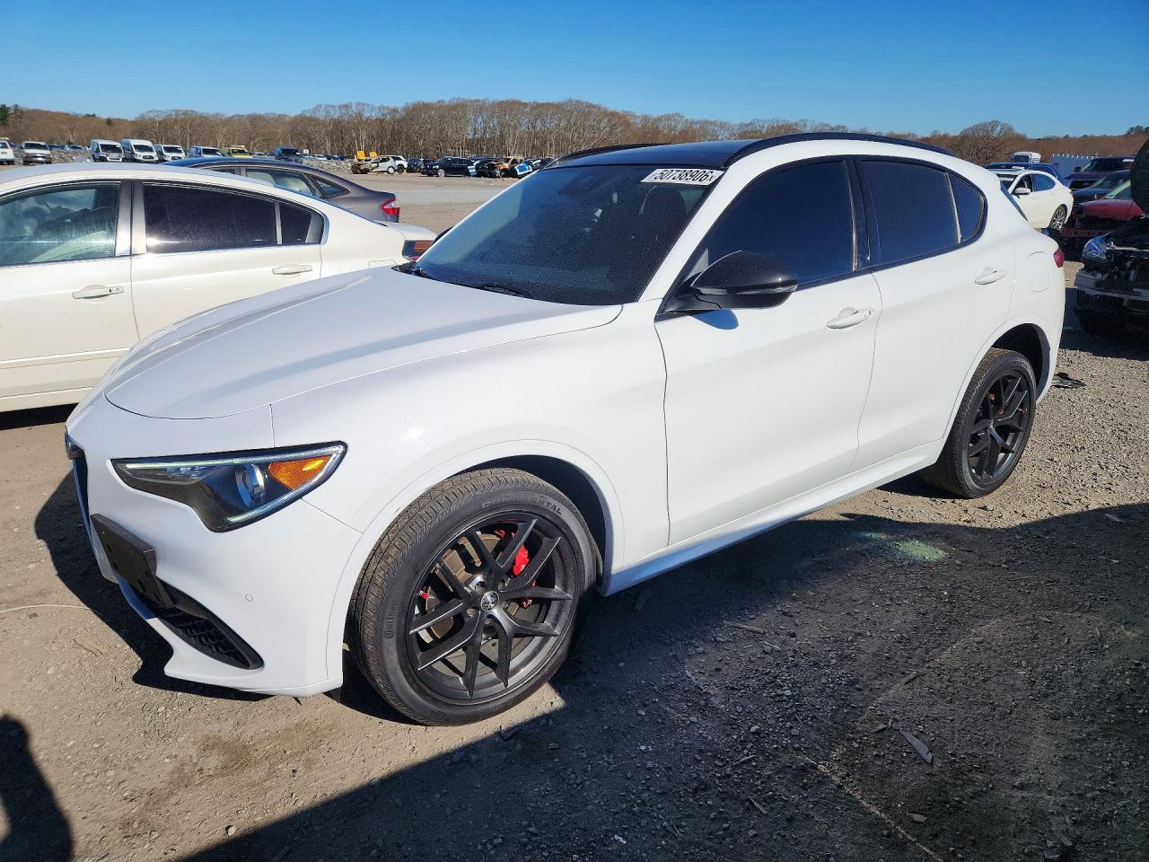 Salvage Alfa Romeo Stelvio Image