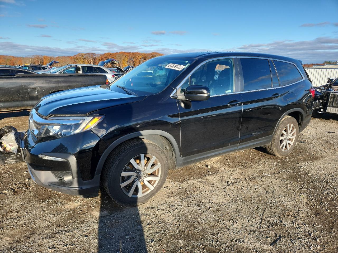 Salvage Honda Pilot Image