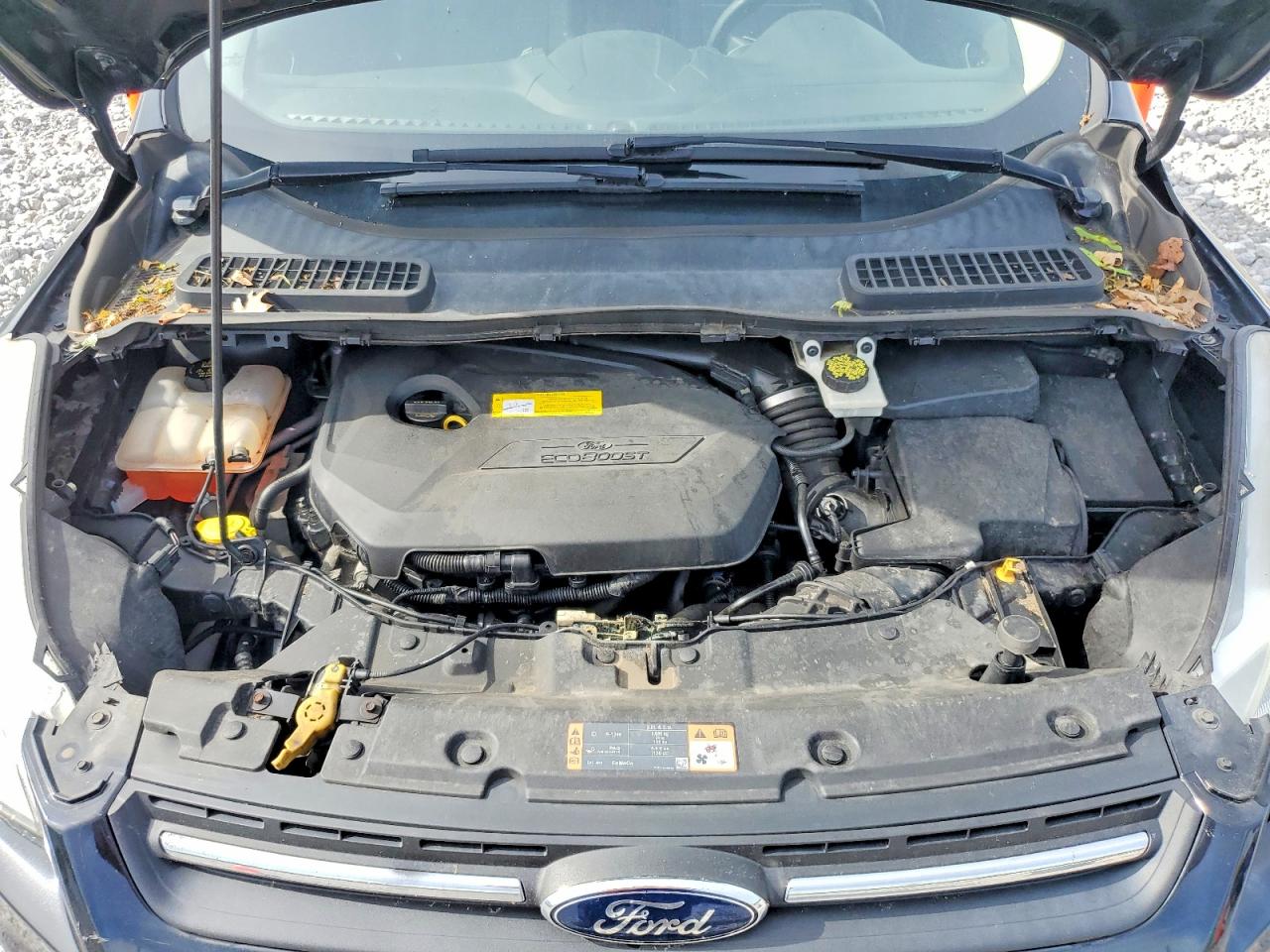 Ford Escape Se