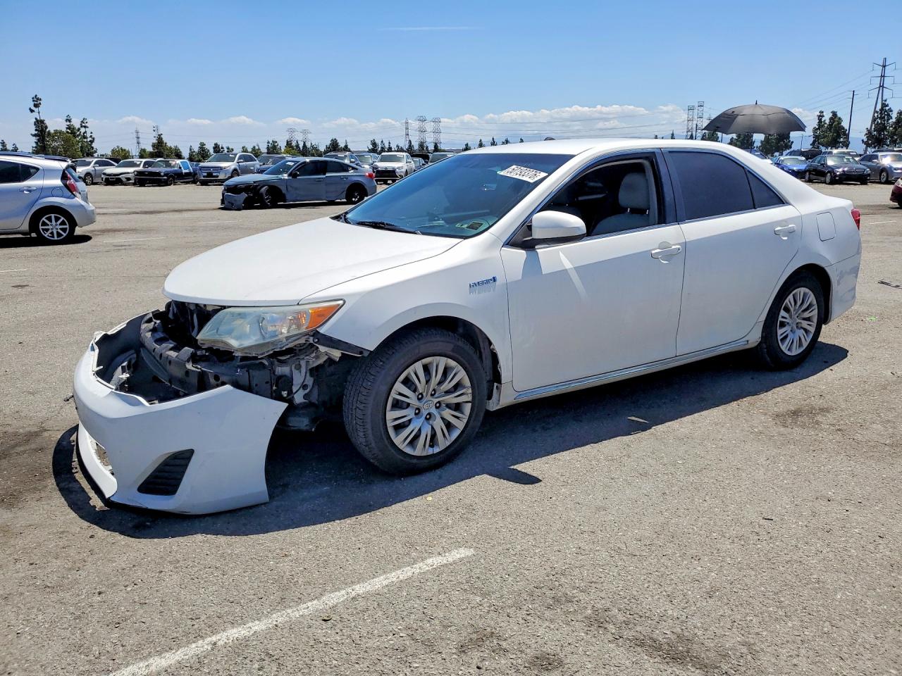 Salvage Toyota Camry Image
