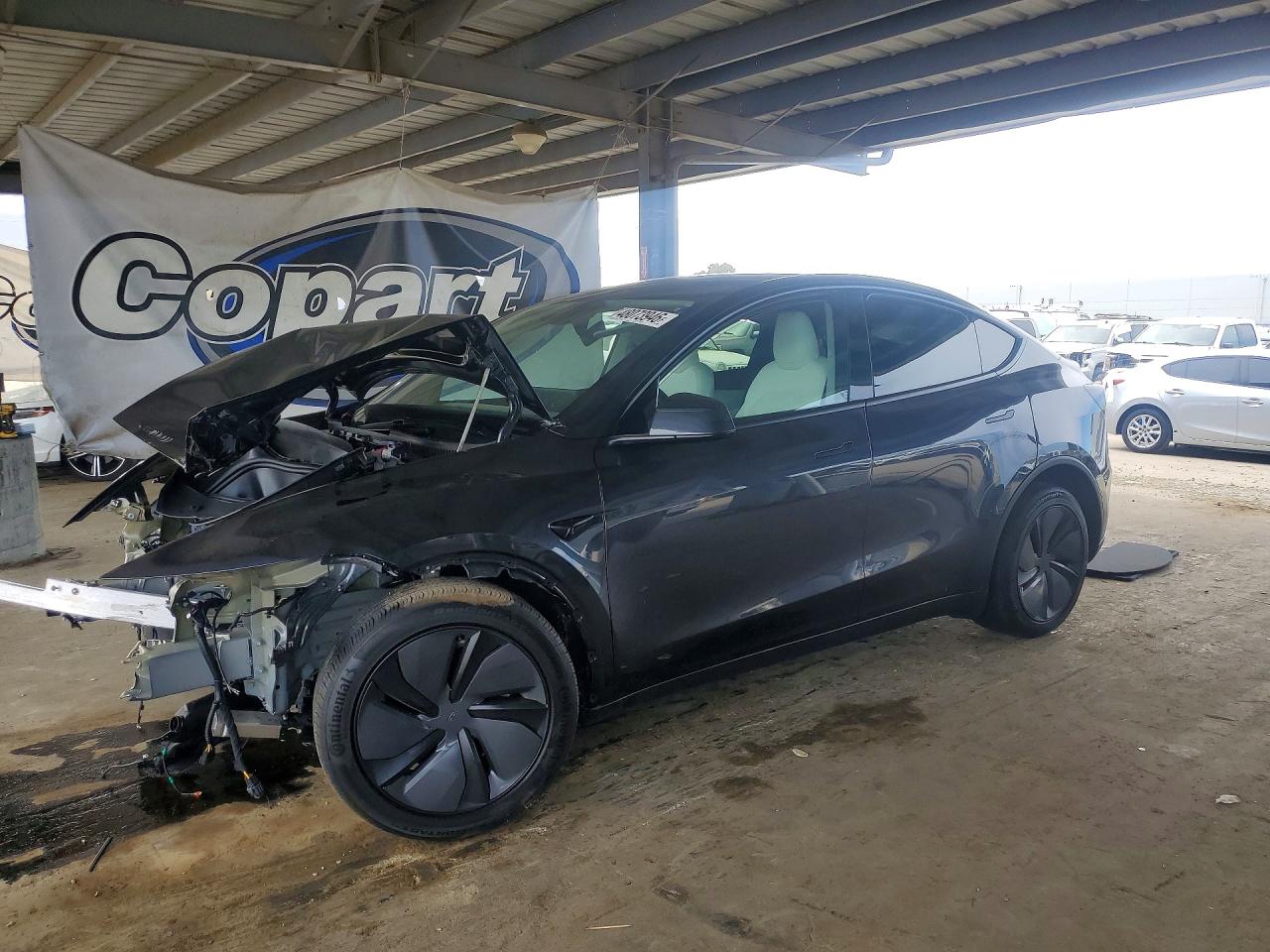 Salvage Tesla Model Y Image