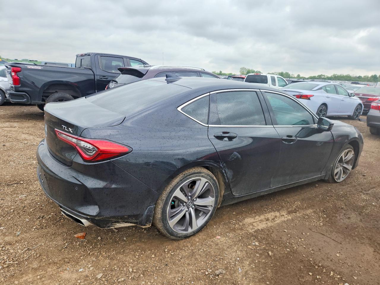 Acura TLX Advance