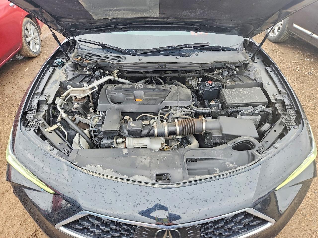 Acura TLX Advance