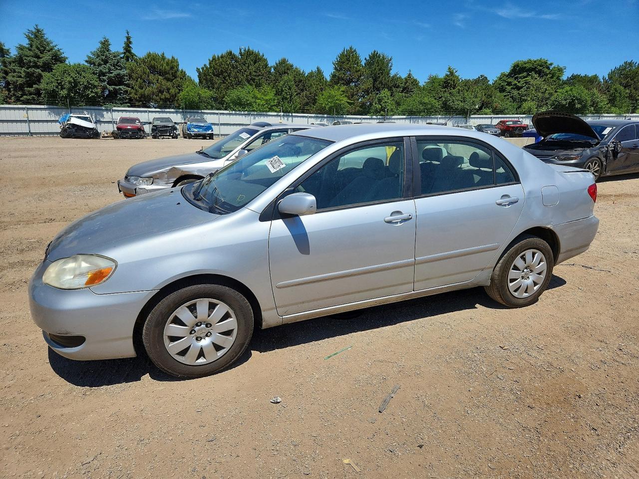 Salvage Toyota Corolla Image