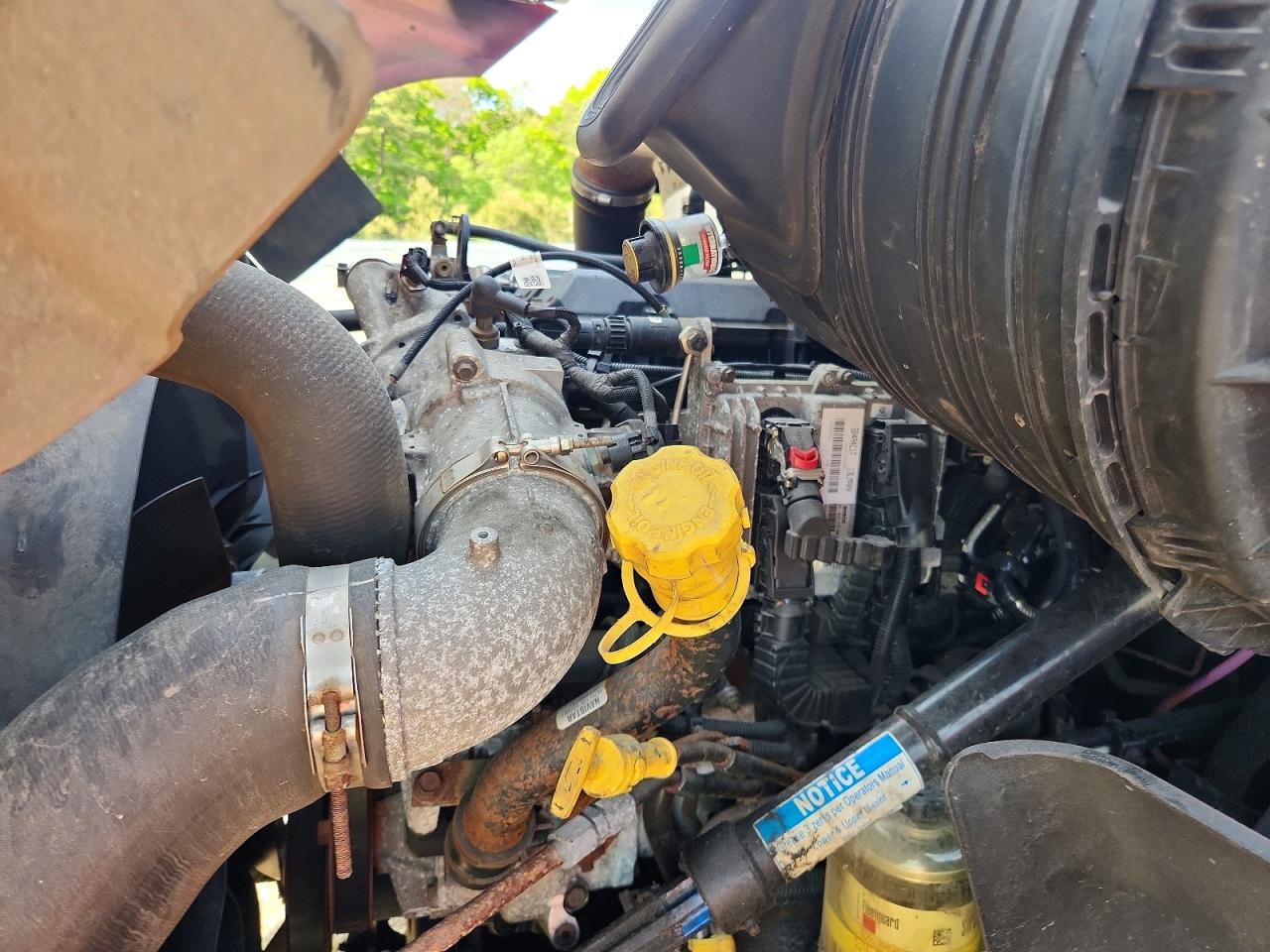 International Prostar