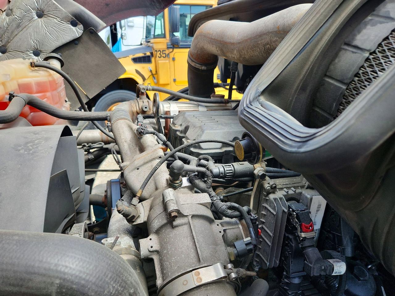 International Prostar