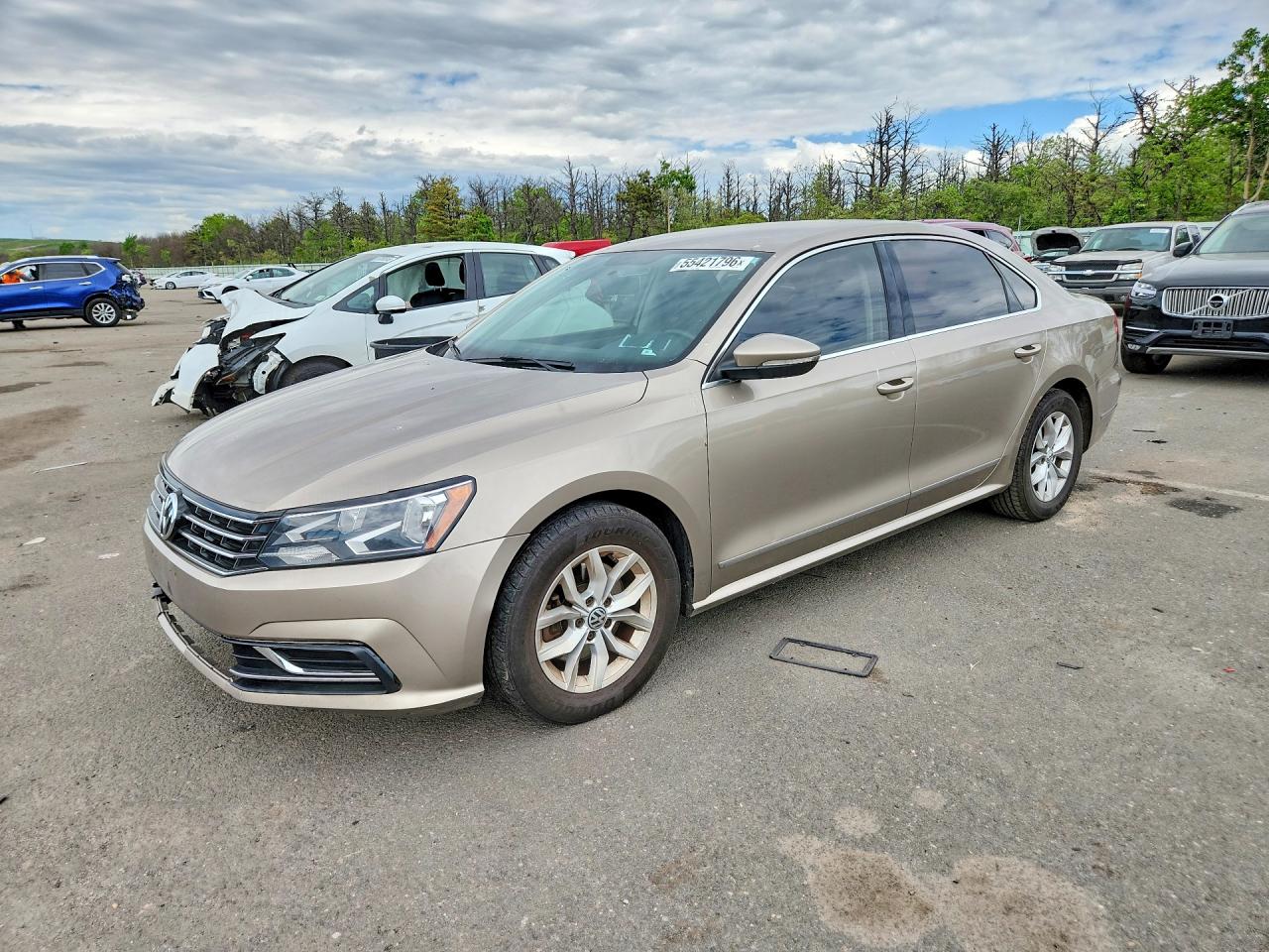 Salvage Volkswagen Passat Image