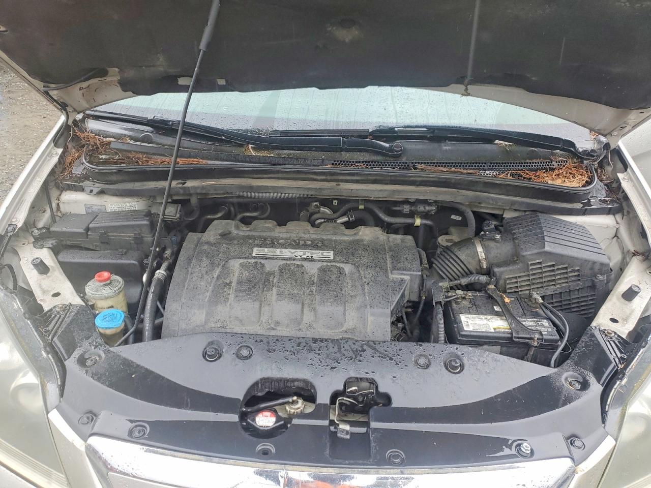 Honda Odyssey Exl