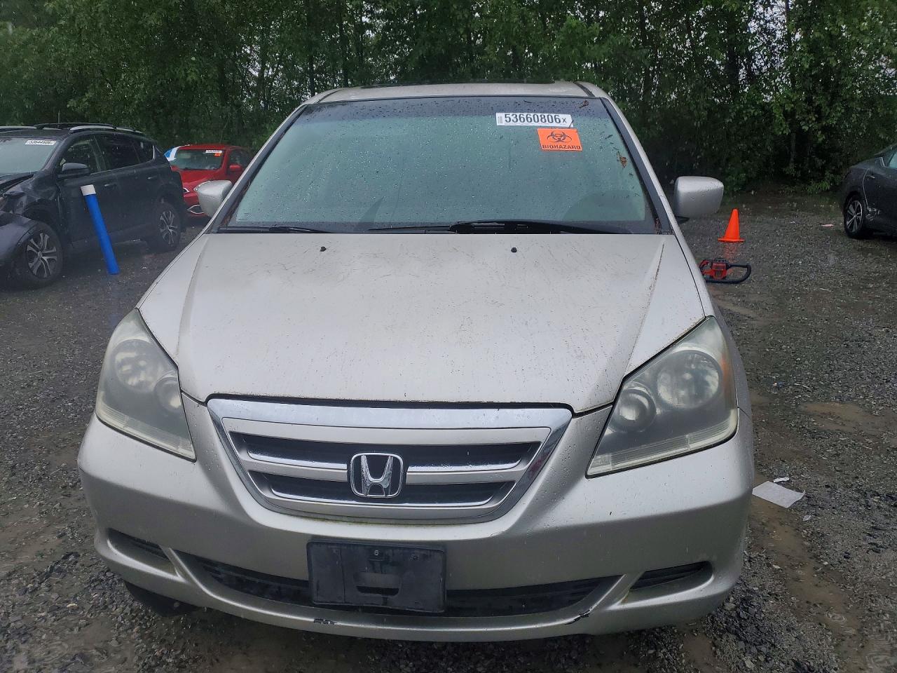 Honda Odyssey Exl