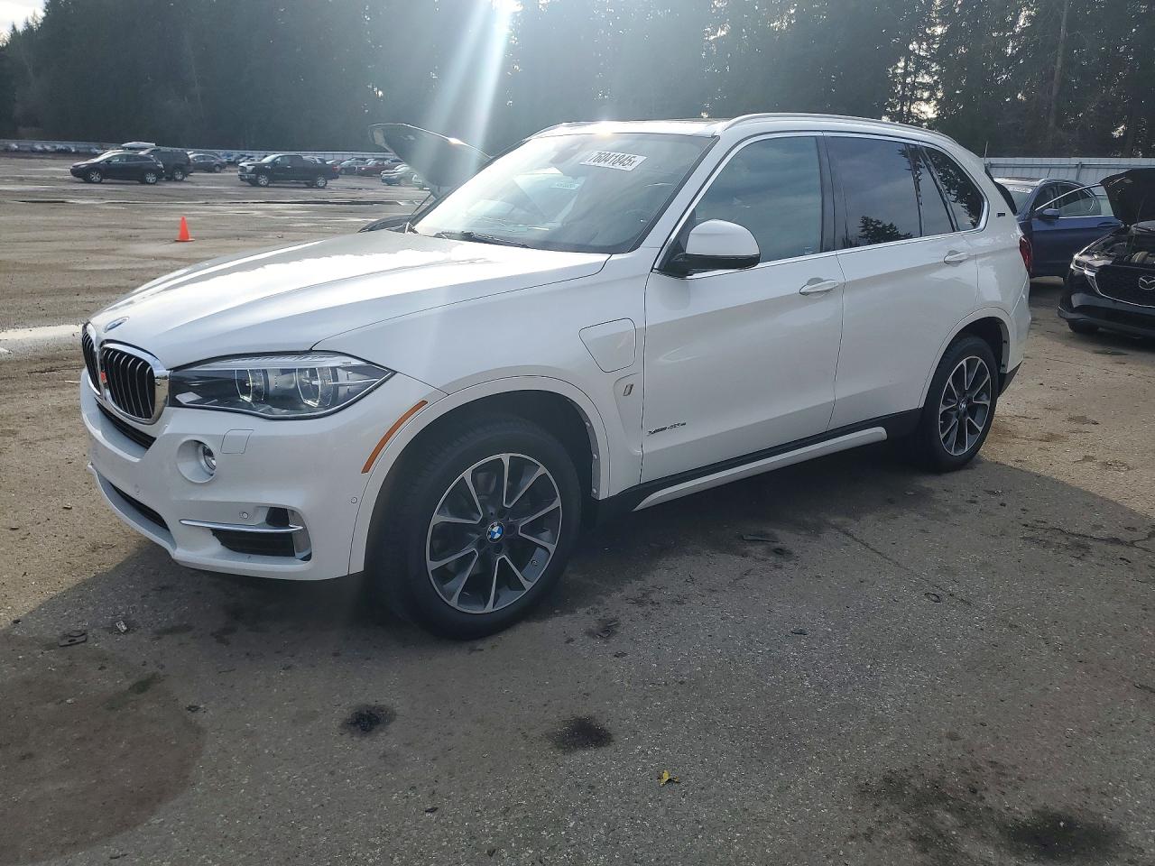 Salvage BMW X Series Image