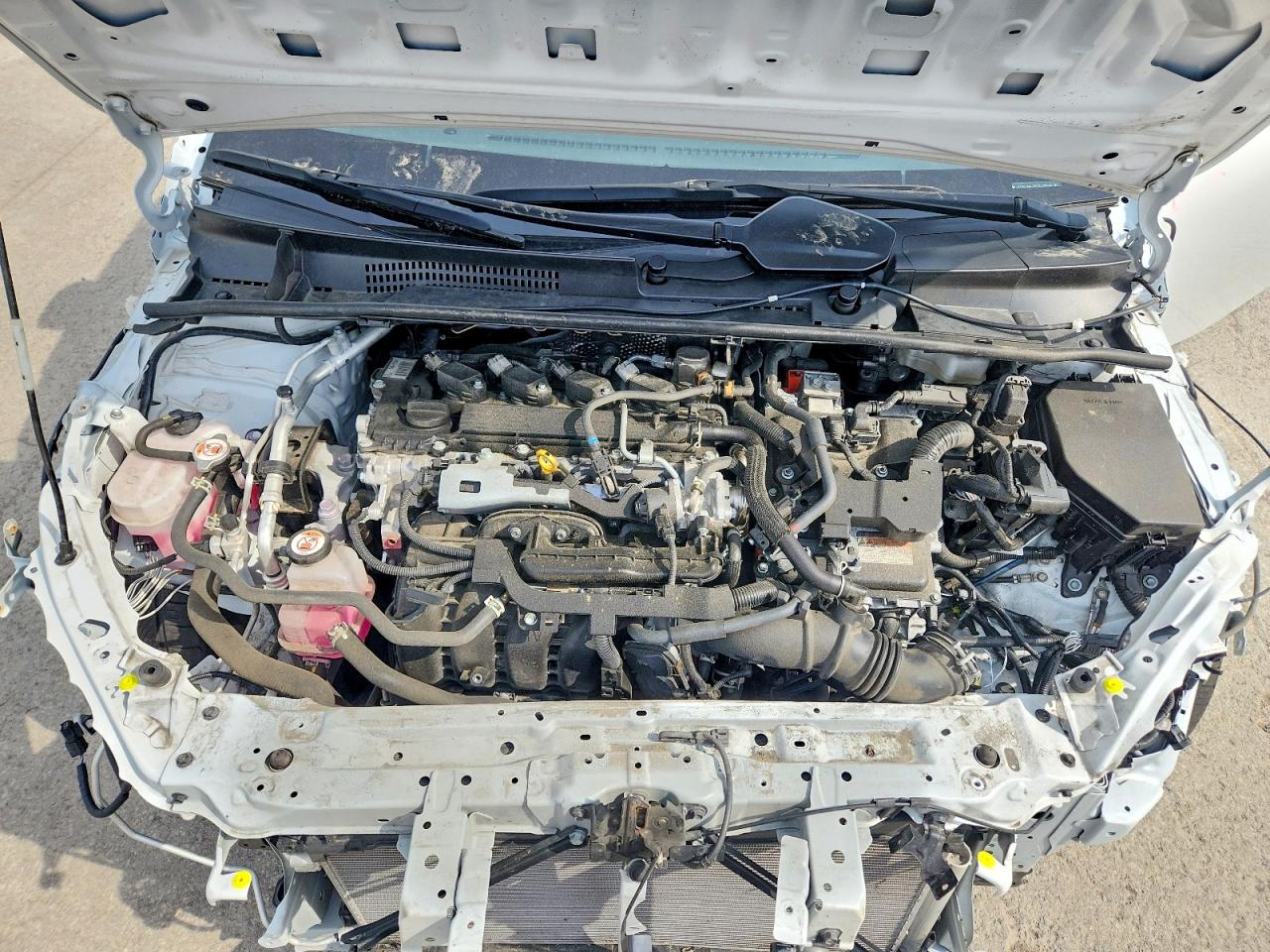 Toyota Prius Xle