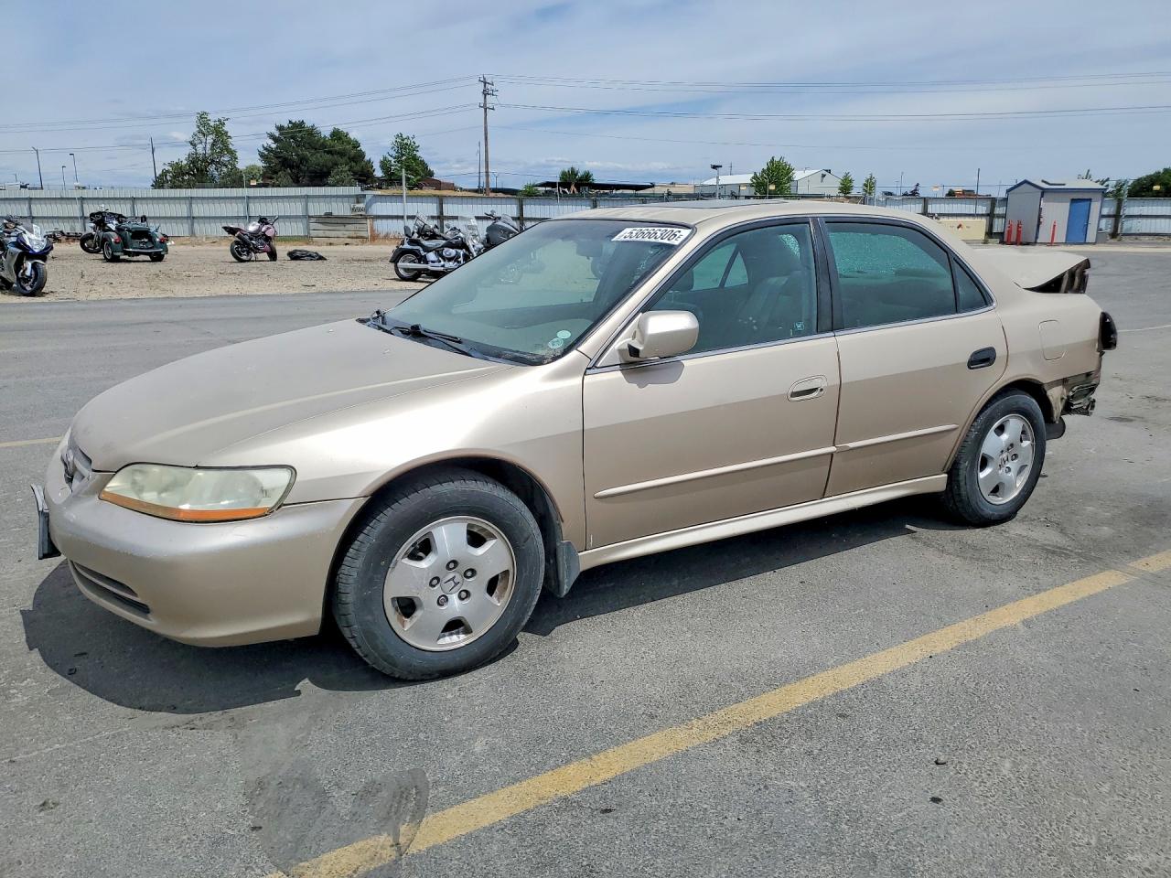 Salvage Honda Accord Image