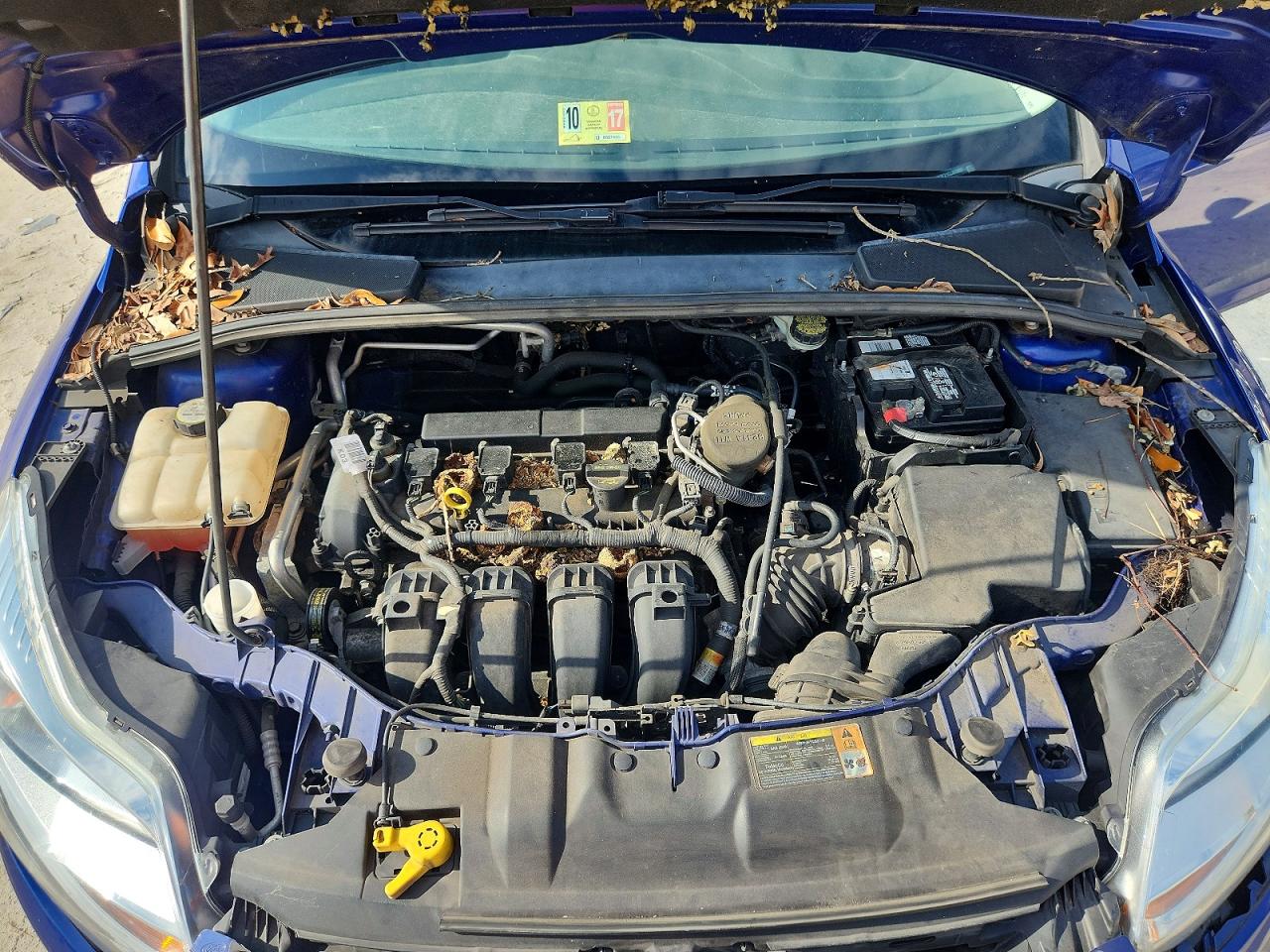 Ford Focus Se