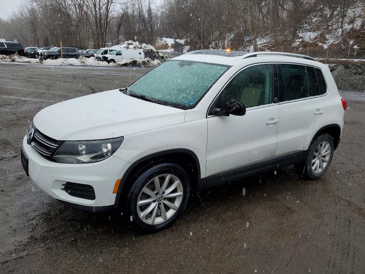 Salvage Volkswagen Tiguan Image