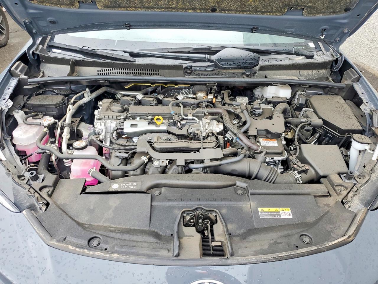Toyota Prius Xle