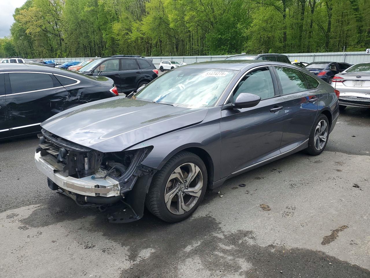 Salvage Honda Accord Image