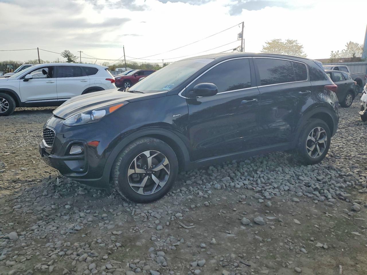 Salvage Kia Sportage Image