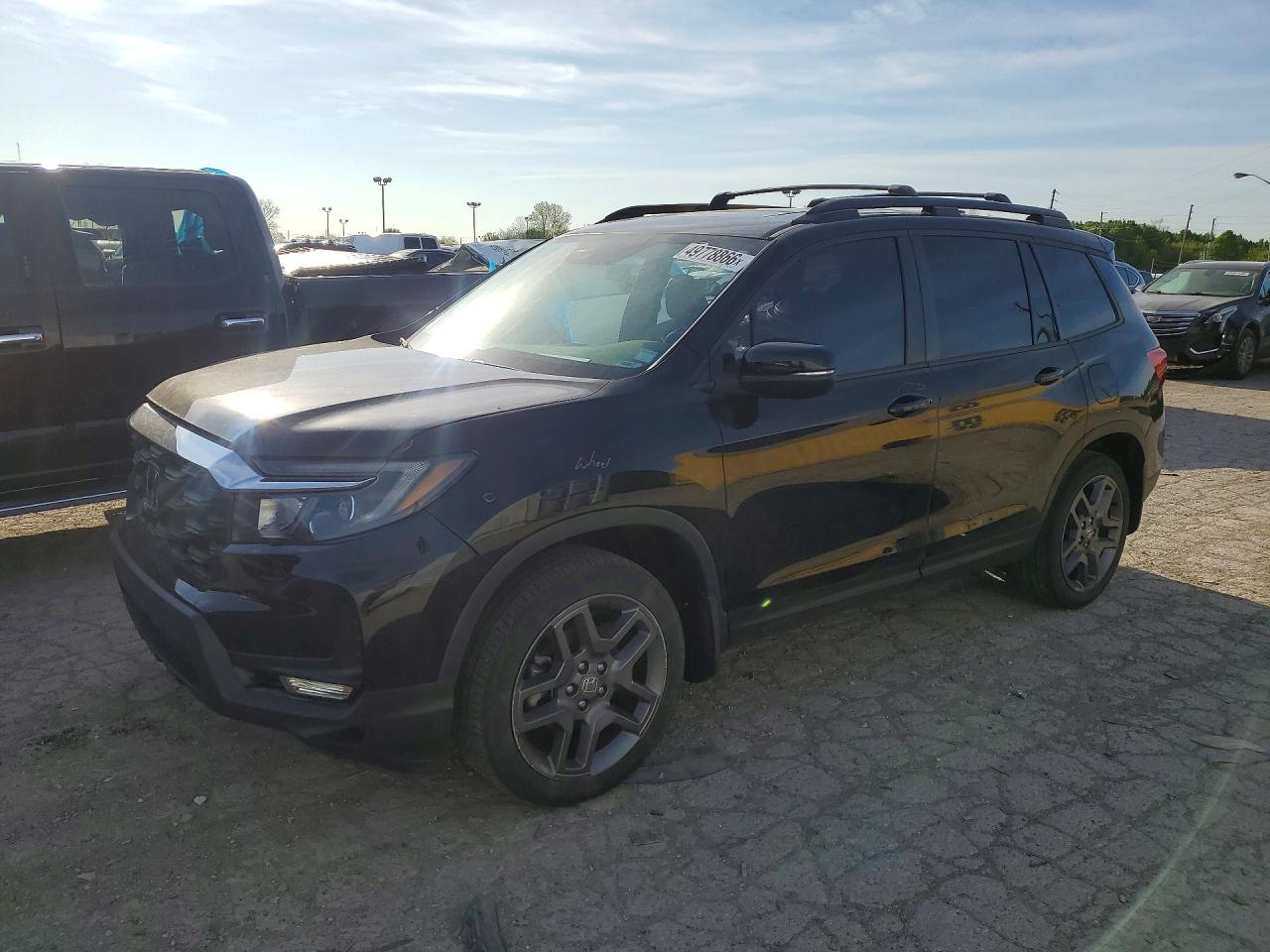 Salvage Honda Passport Image