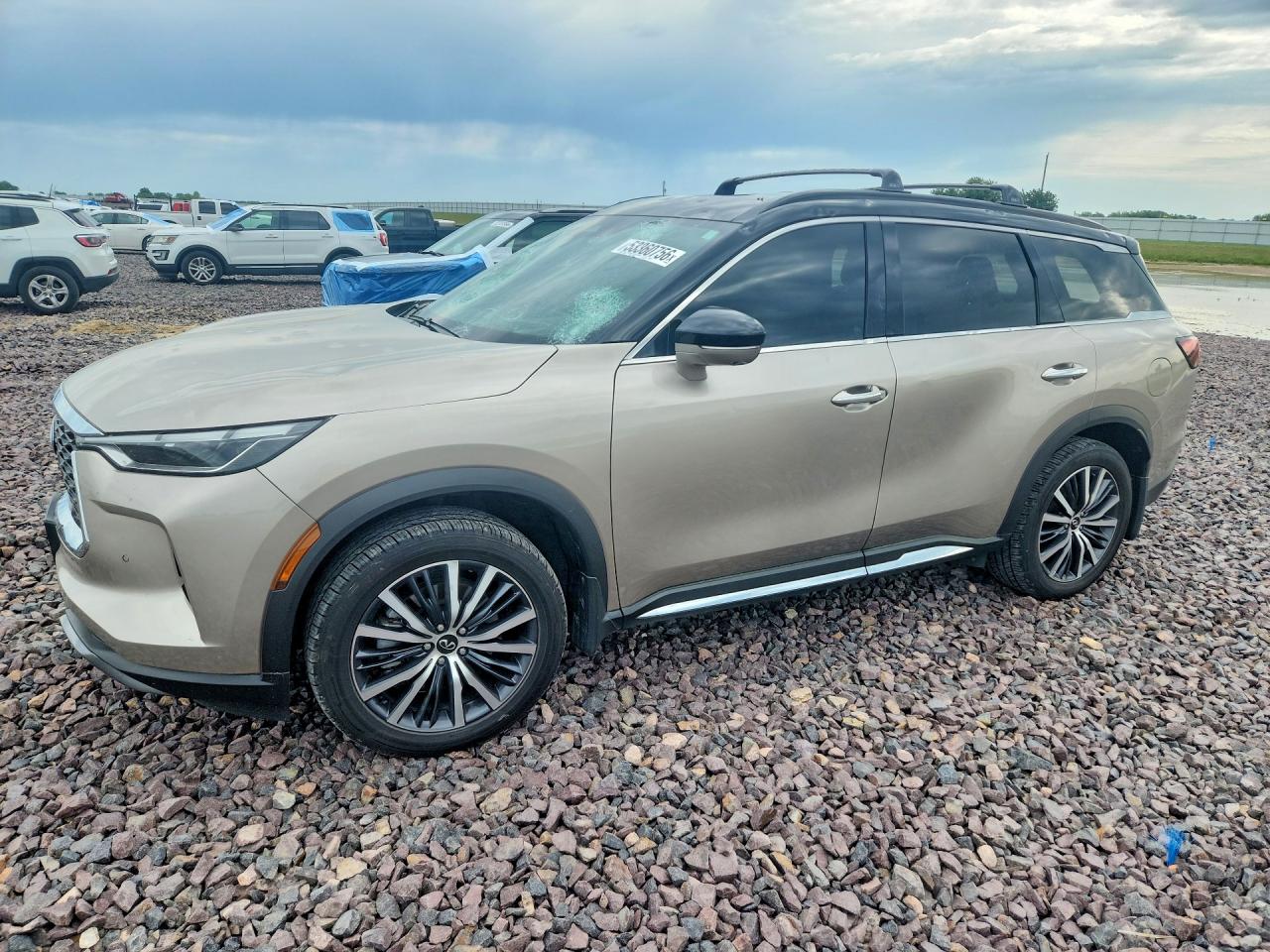 Salvage INFINITI Qx Image