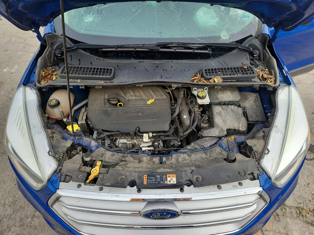 Ford Escape Se