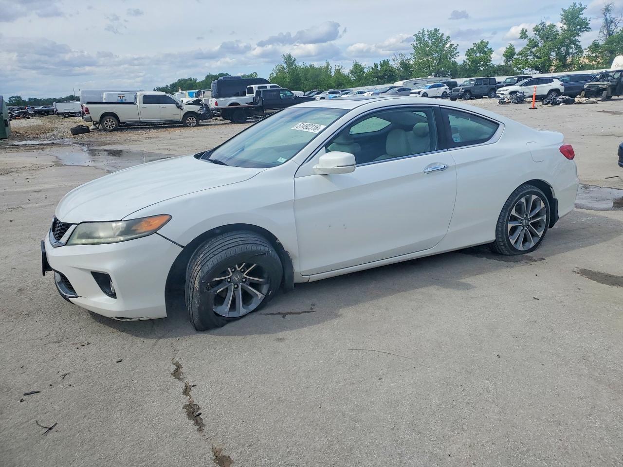Salvage Honda Accord Image