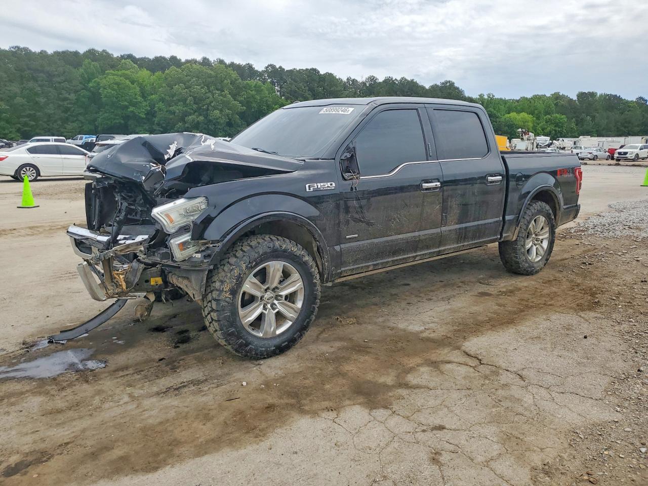 Salvage Ford F-150 Image