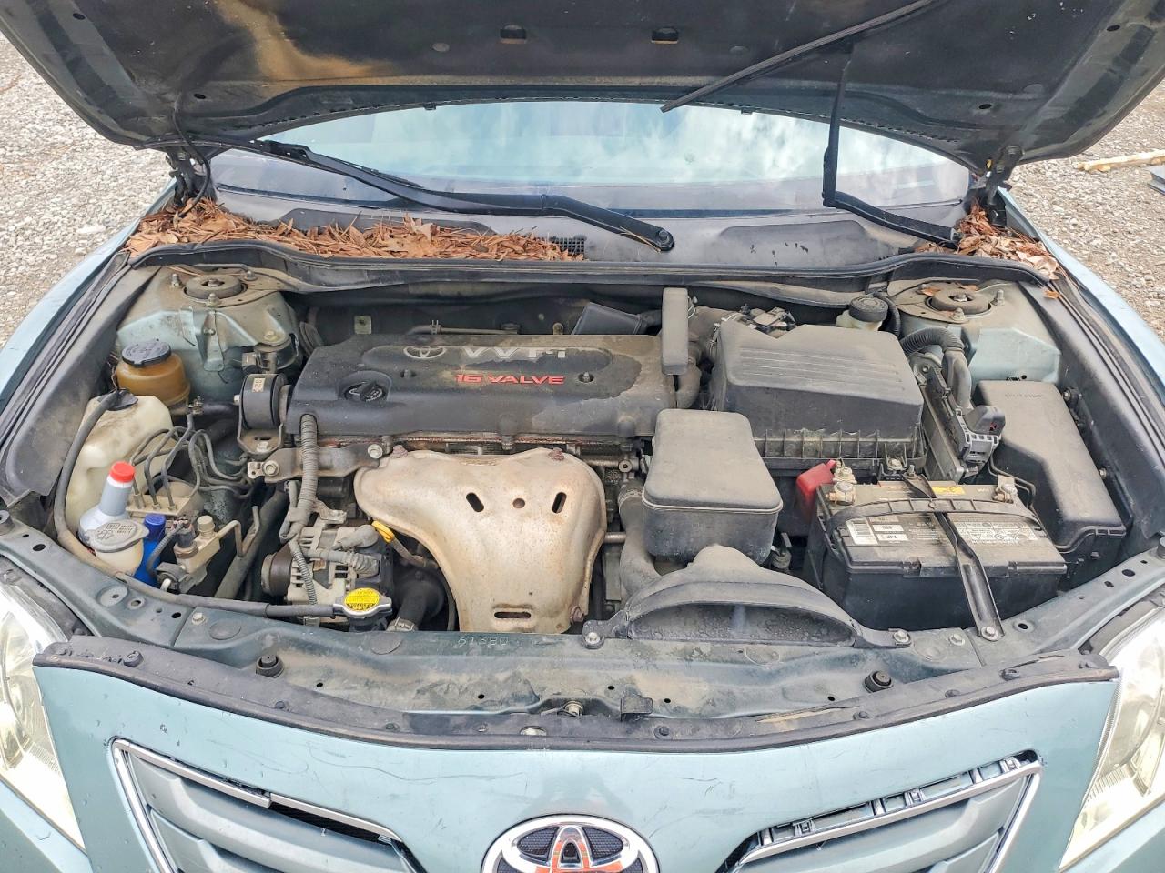 Toyota Camry Xle