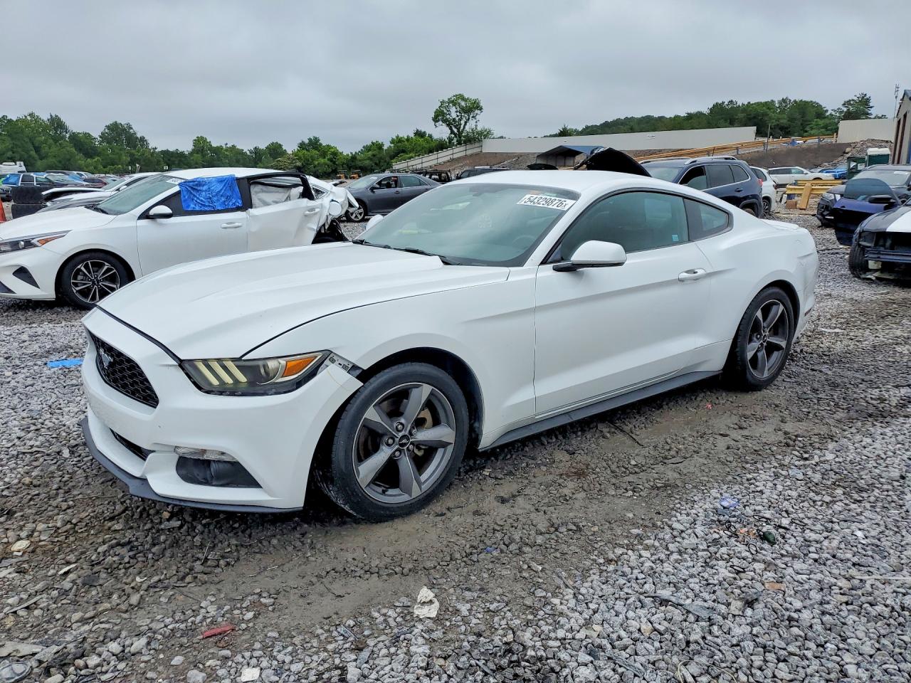 Salvage Ford Mustang Image