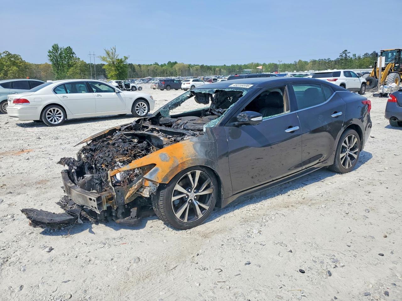 Salvage Nissan Maxima Image