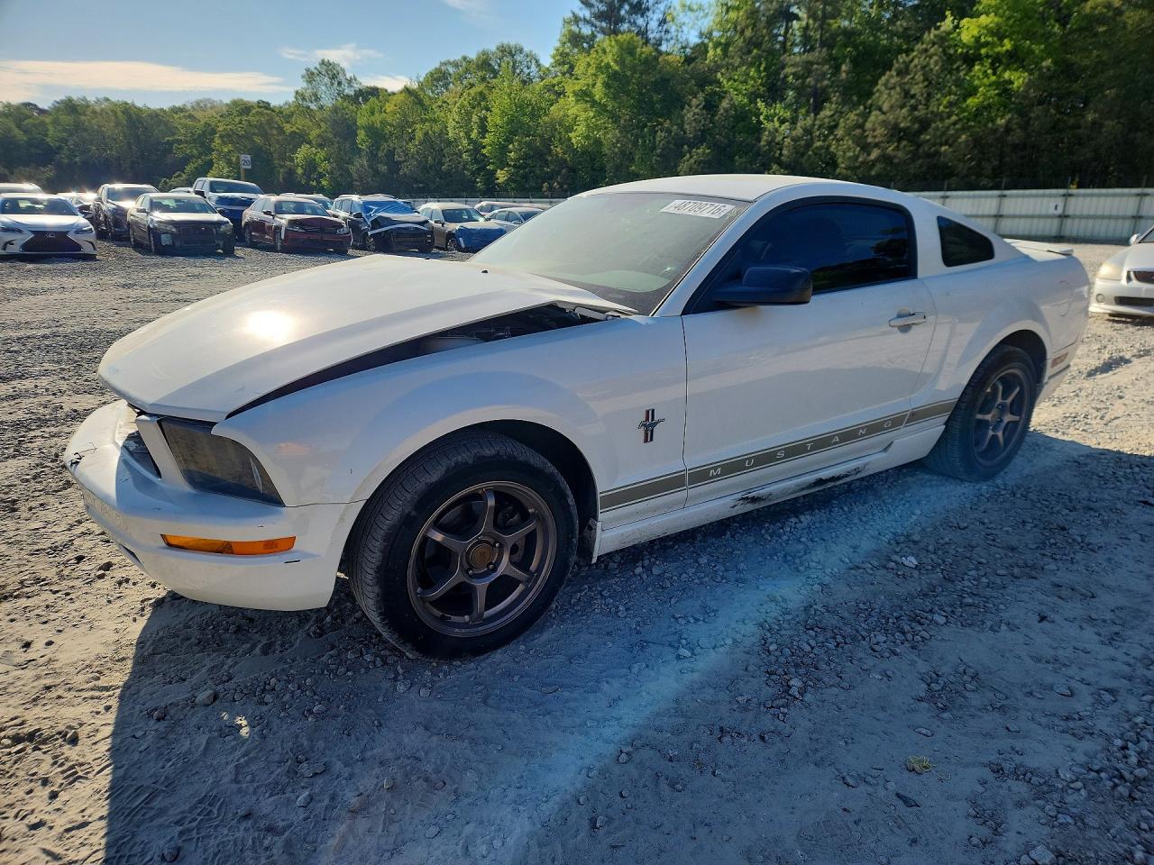 Salvage Ford Mustang Image