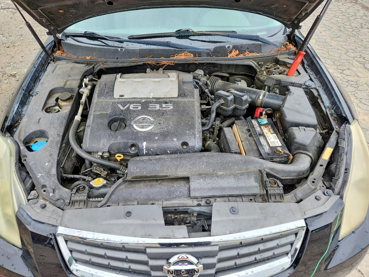 Nissan Maxima 3.5 Se