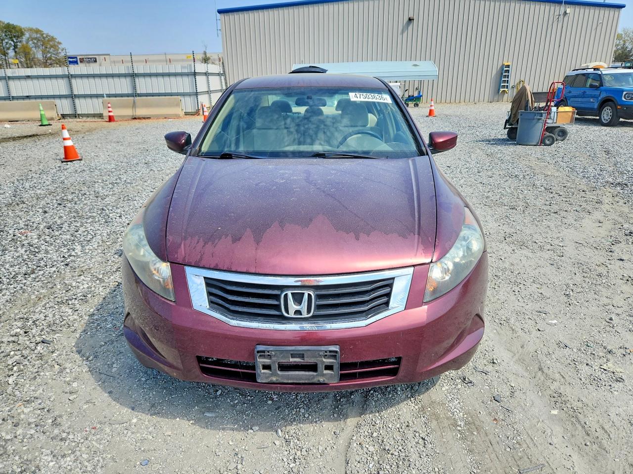 Honda Accord Lxp