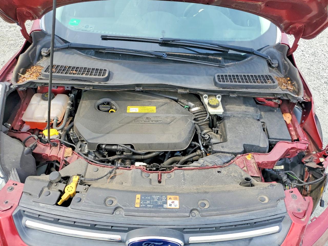 Ford Escape Se